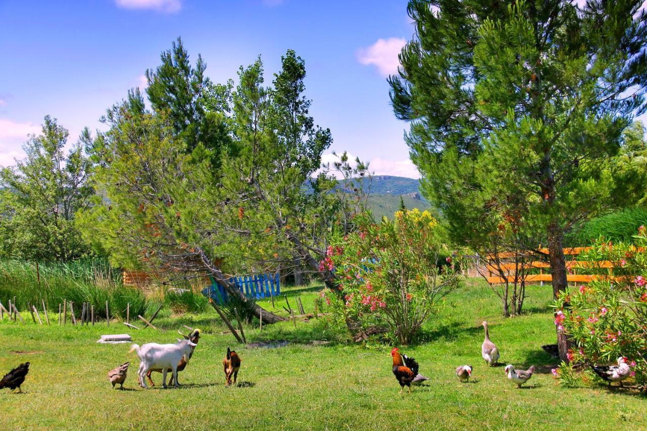 Camping la Peiriere Tuchan Exterior foto
